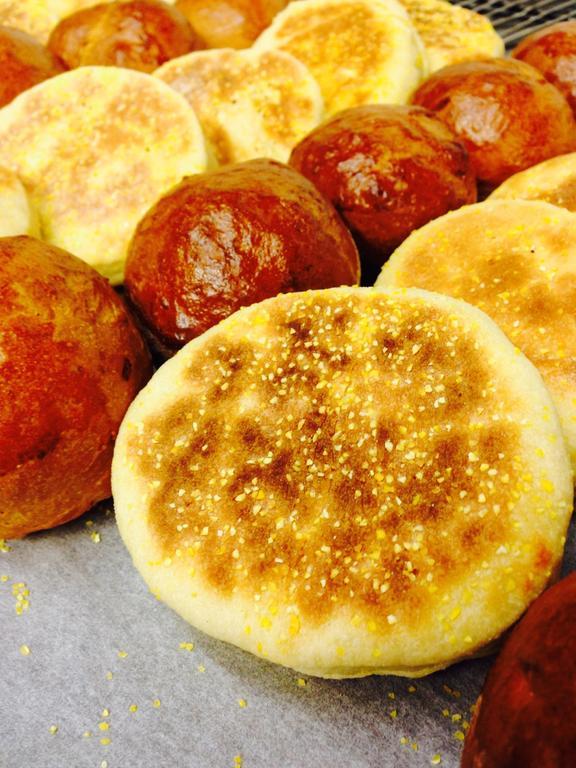 L'Hotellerie Kouros Cuers Dış mekan fotoğraf